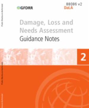 Image of Damage, Loss and Needs Assessment