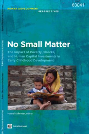 Image of No Small Matter