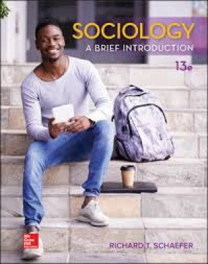 Image of Sociology: A Brief Introduction